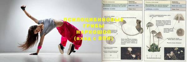 прущий лед Липки
