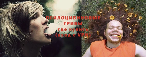 прущий лед Липки
