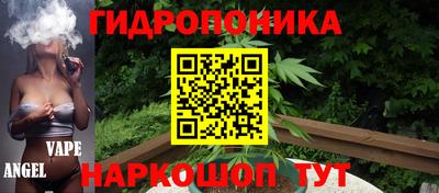 шишки Абинск