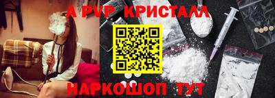 гашик Малгобек