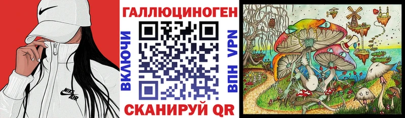 наркота  Анапа  Псилоцибиновые грибы Cubensis 