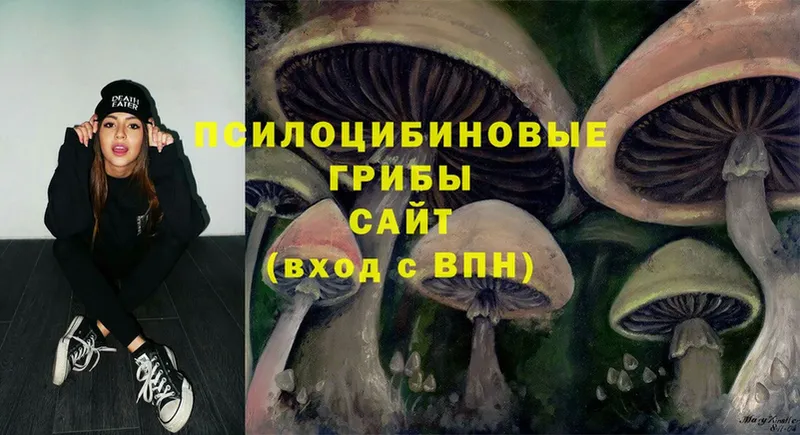 Галлюциногенные грибы Psilocybe  купить наркотики сайты  ОМГ ОМГ   Анапа 