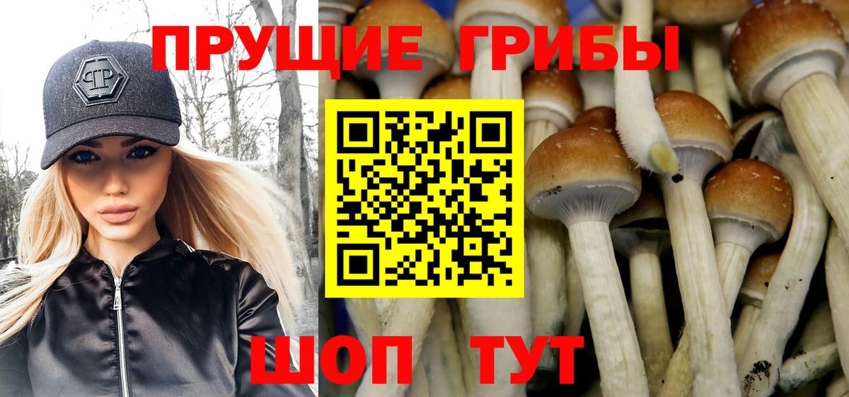 купить наркотик  Вход с VPN  Псилоцибиновые грибы мухоморы  Анапа  Псилоцибиновые грибы мицелий 