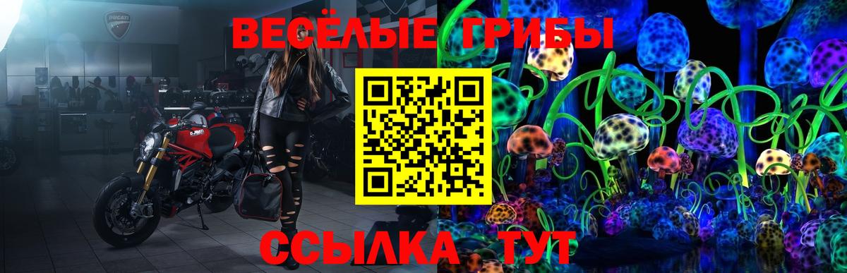 Псилоцибиновые грибы Psilocybine cubensis Анапа