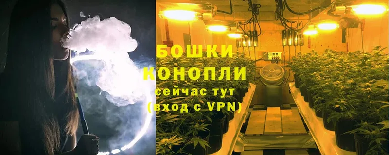 Каннабис SATIVA & INDICA  Анапа 